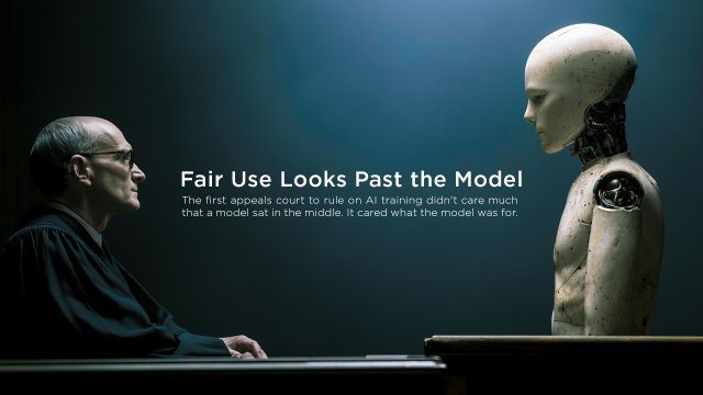 Fair Use Looks Past the Model